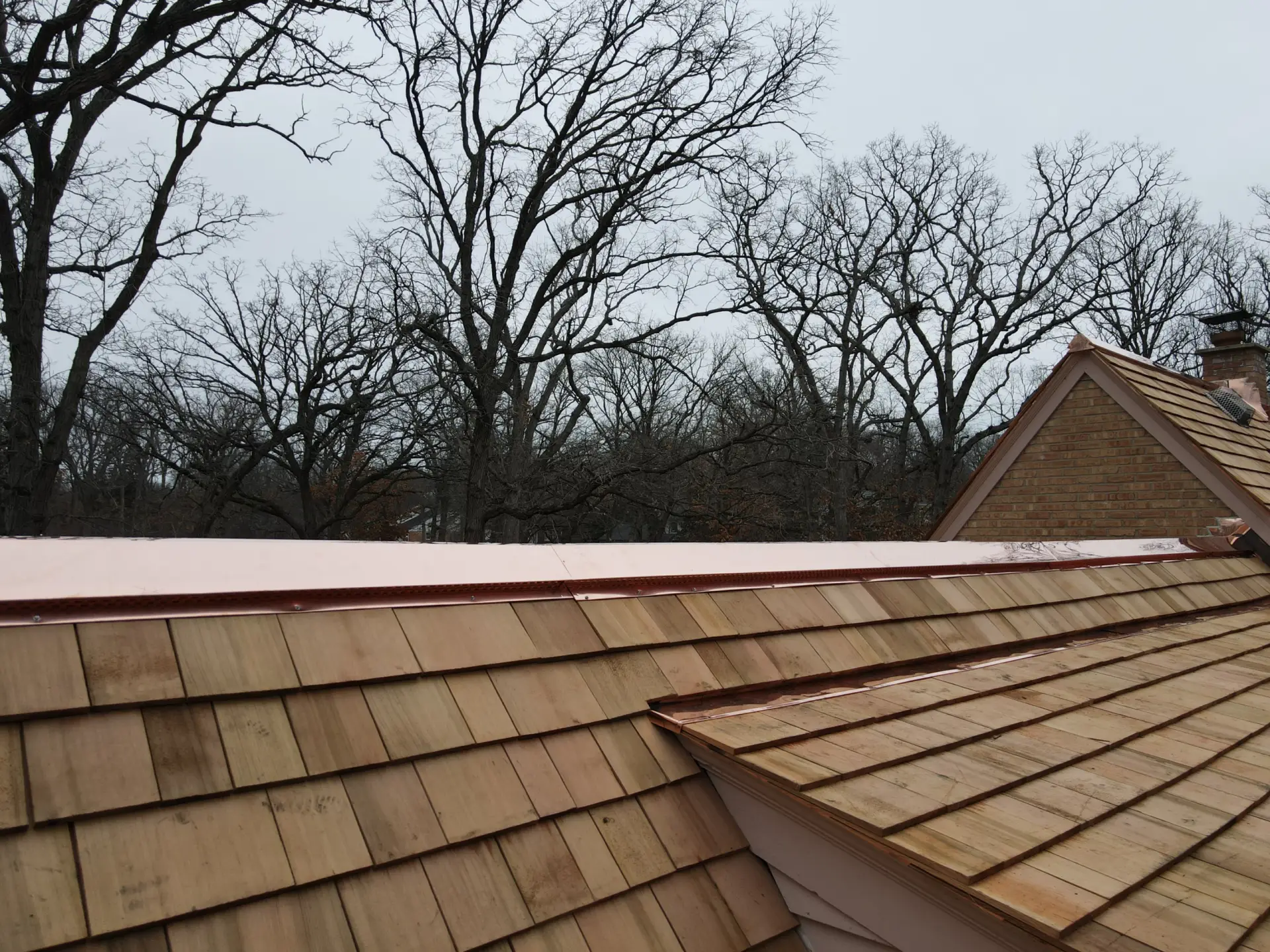 Bubble skylights on brown roof