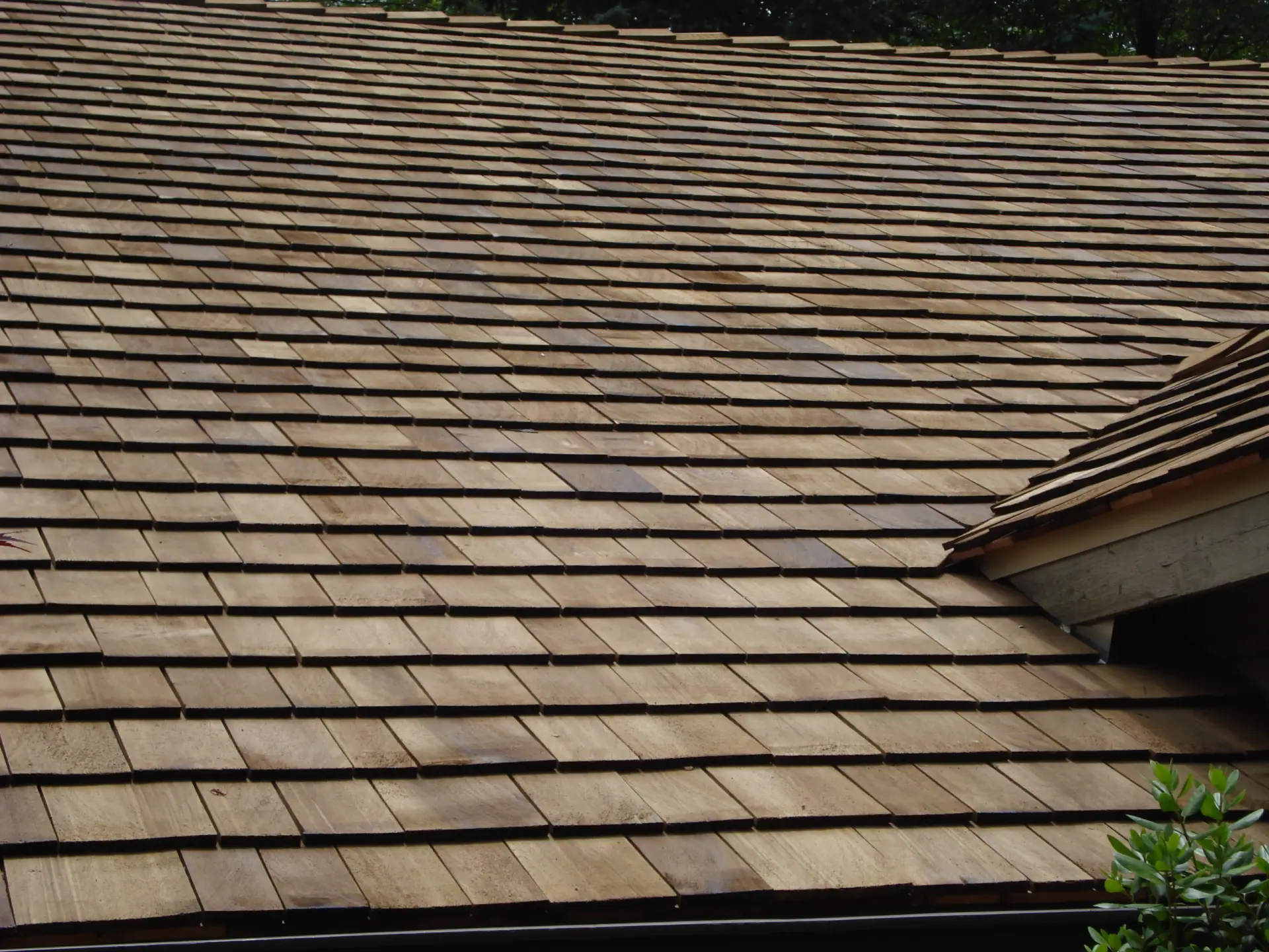 Bubble skylights on brown roof